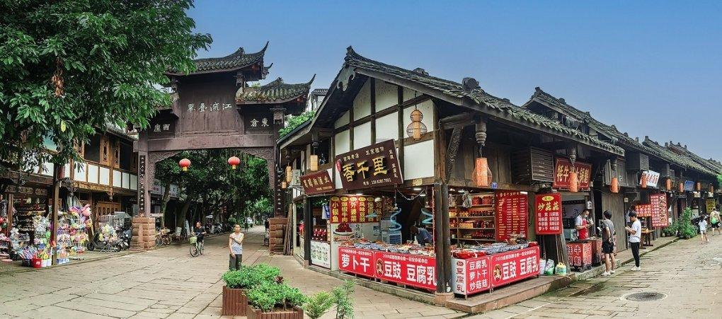 救援袋鼬